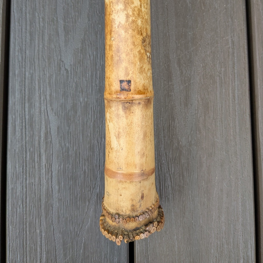 #038 Myoan Fuke 1.8 Jinashi