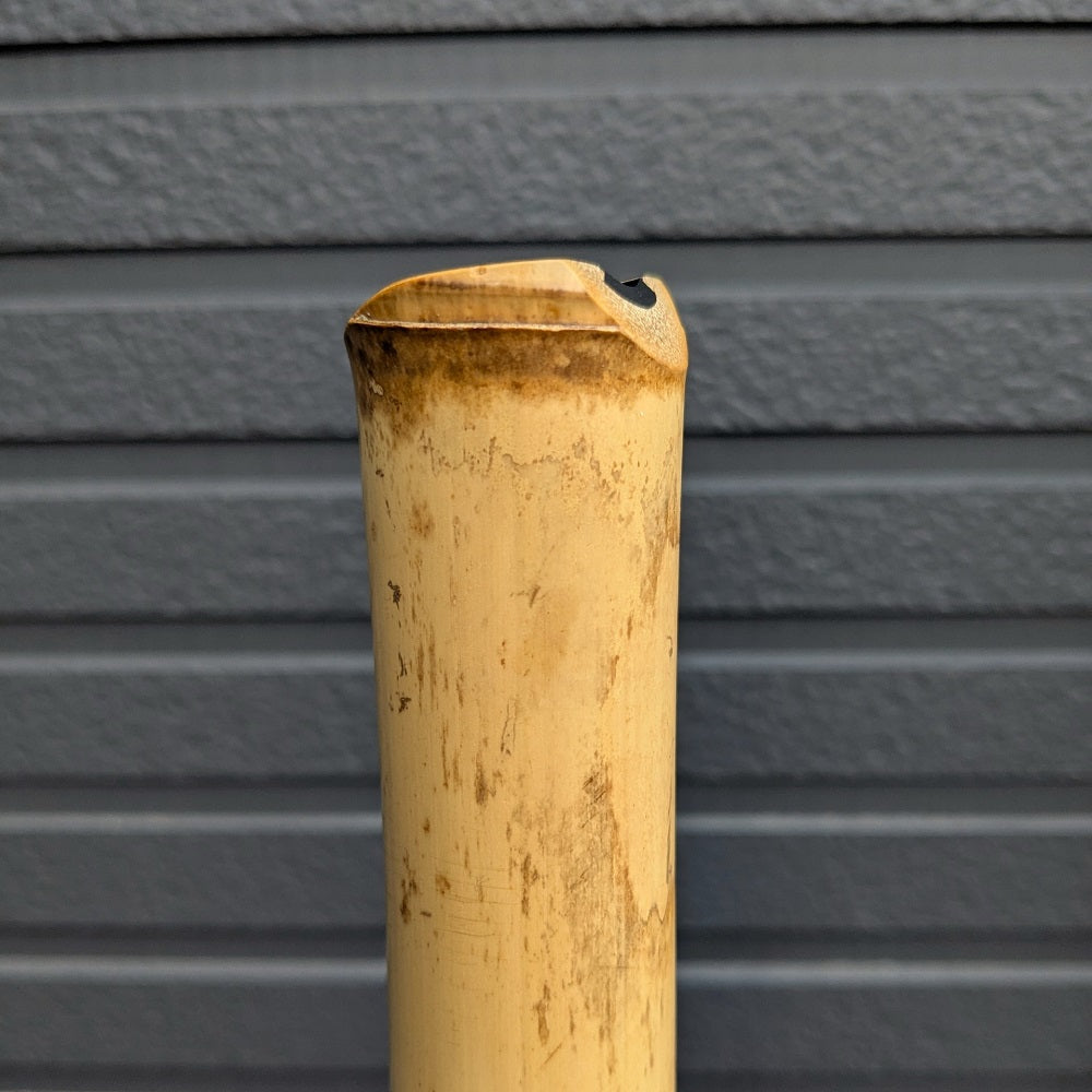 #038 Myoan Fuke 1.8 Jinashi