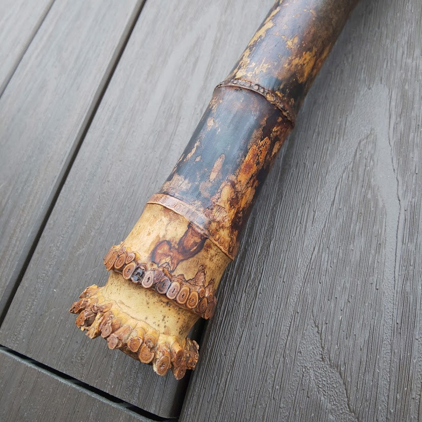 Gyokusui Shakuhachi Kinko 1.8 Jinashi  root