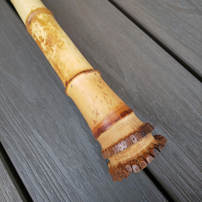 Gyokusui Shakuhachi Kinko 1.8 Jiari root