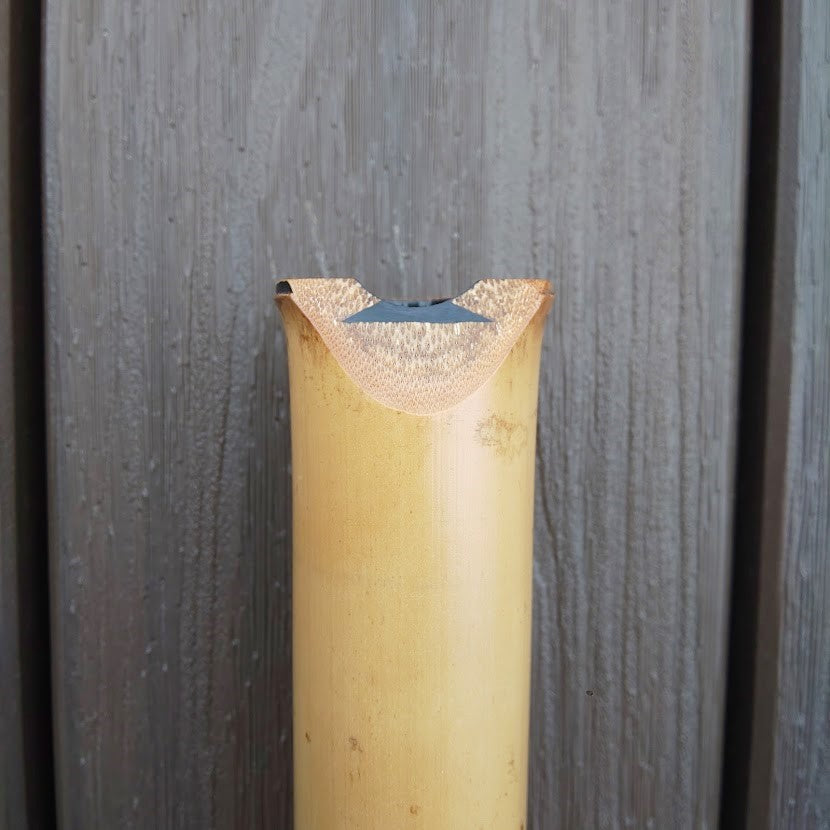 Gyokusui Shakuhachi Kinko 1.6 Jiari utaguchi