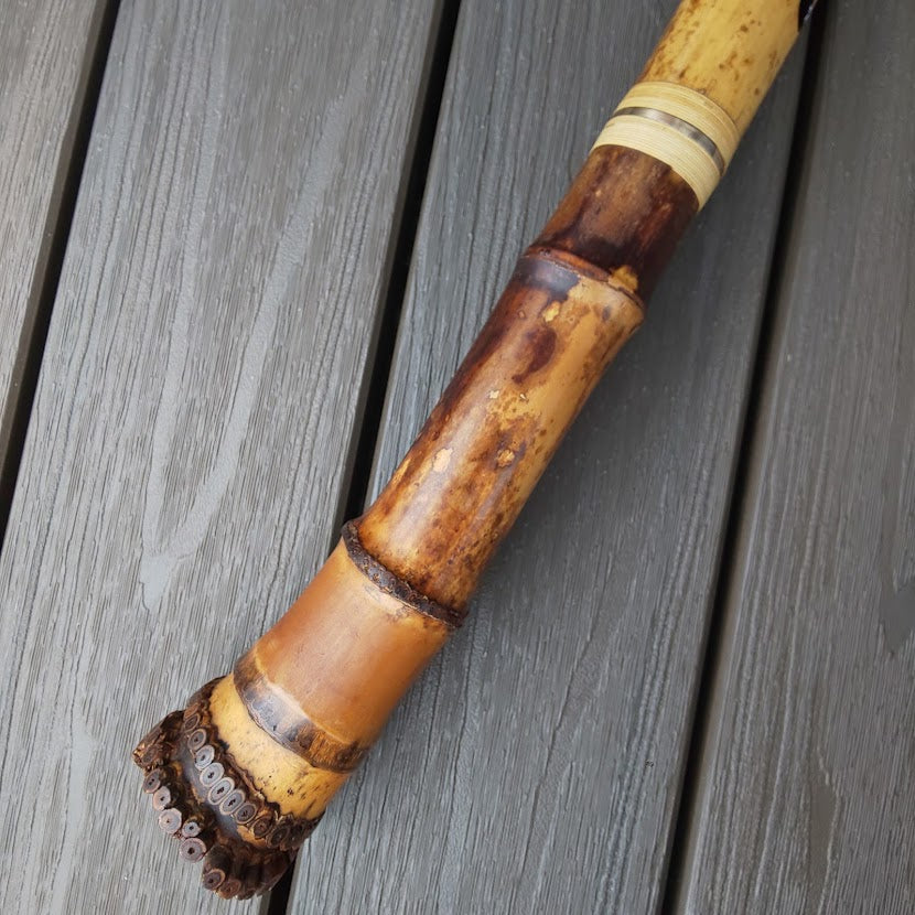 Gyokusui Shakuhachi Tozan 1.6 Jiari root