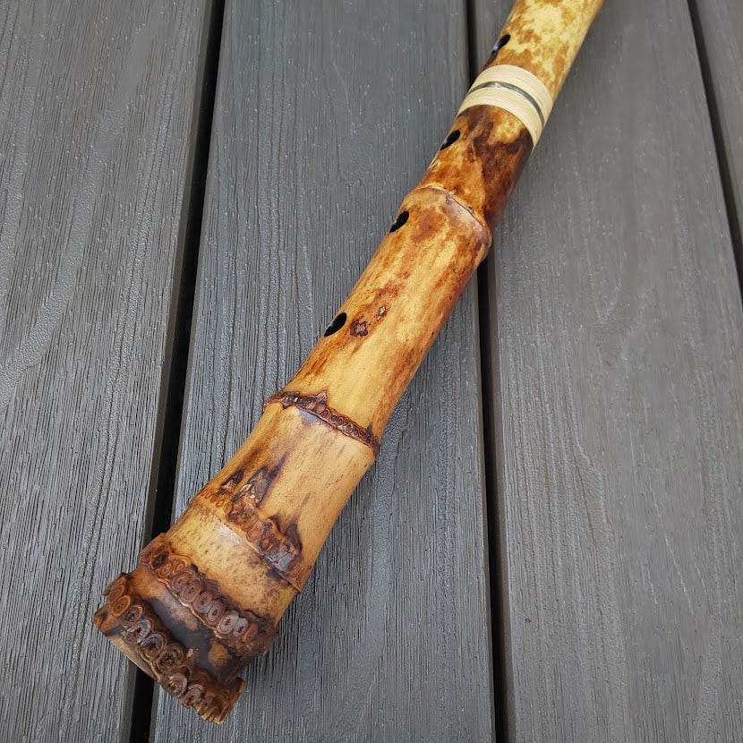 Gyokusui Shakuhachi Tozan 1.7 Jiari root