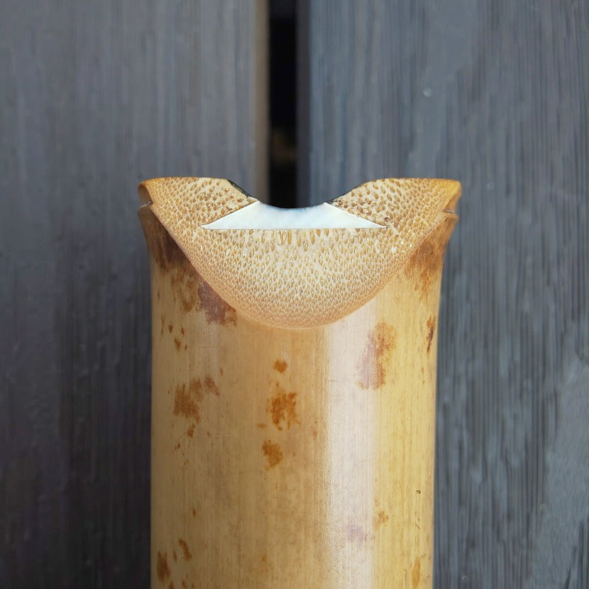 Gyokusui Shakuhachi Kinko 1.8 Jiari Utaguchi