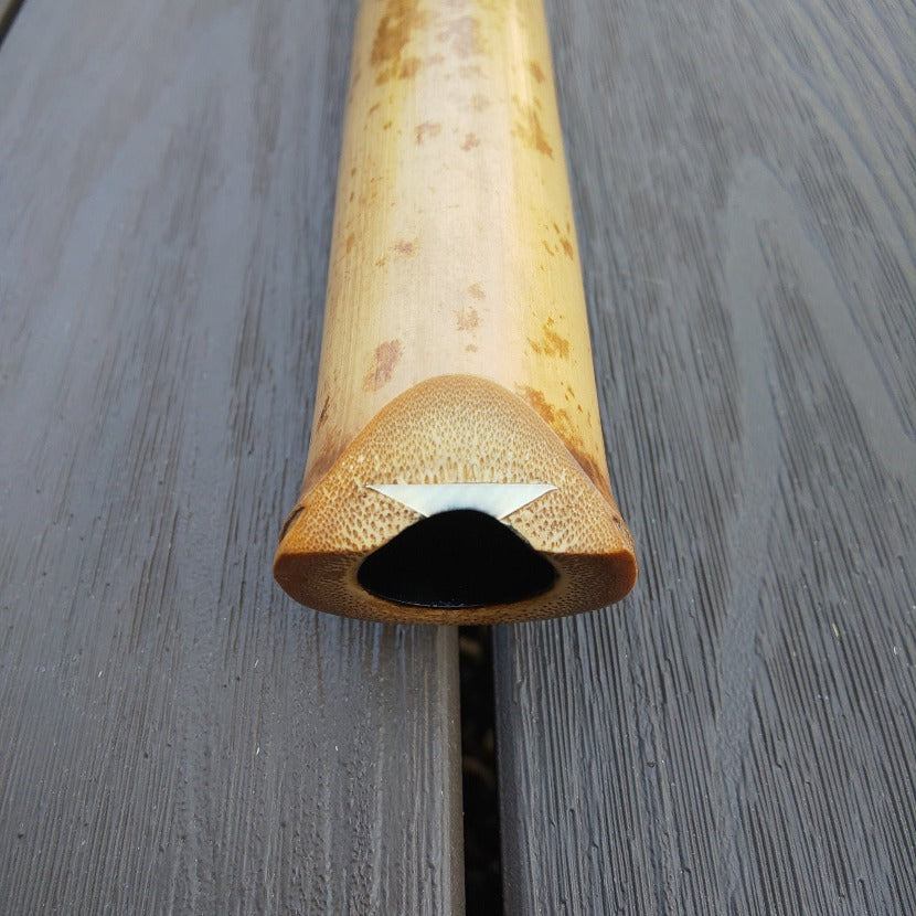 Gyokusui Shakuhachi Kinko 1.8 Jiari Utaguchi